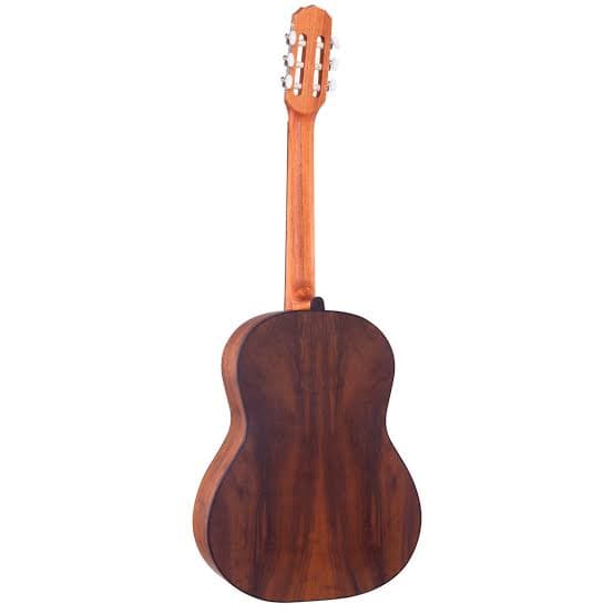 Rozini RX201 Acústico — foto 2 | BrasilInstruments