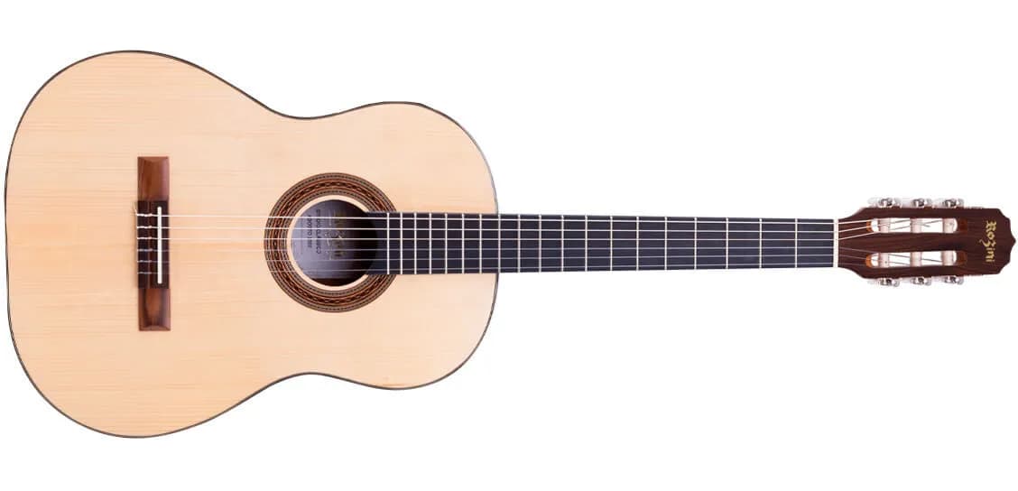 Rozini RX201 Acústico — foto 4 | BrasilInstruments