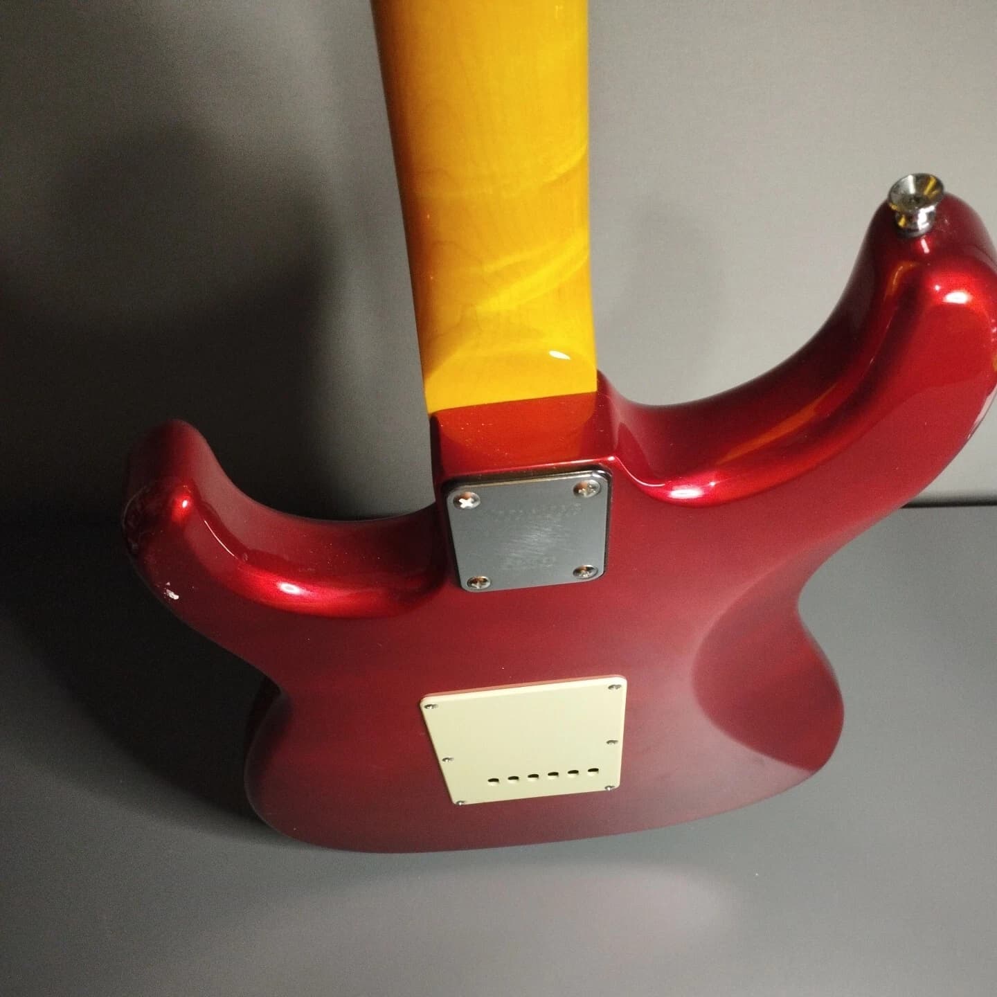 Tagima TG-530 Woodstock — foto 4 | BrasilInstruments